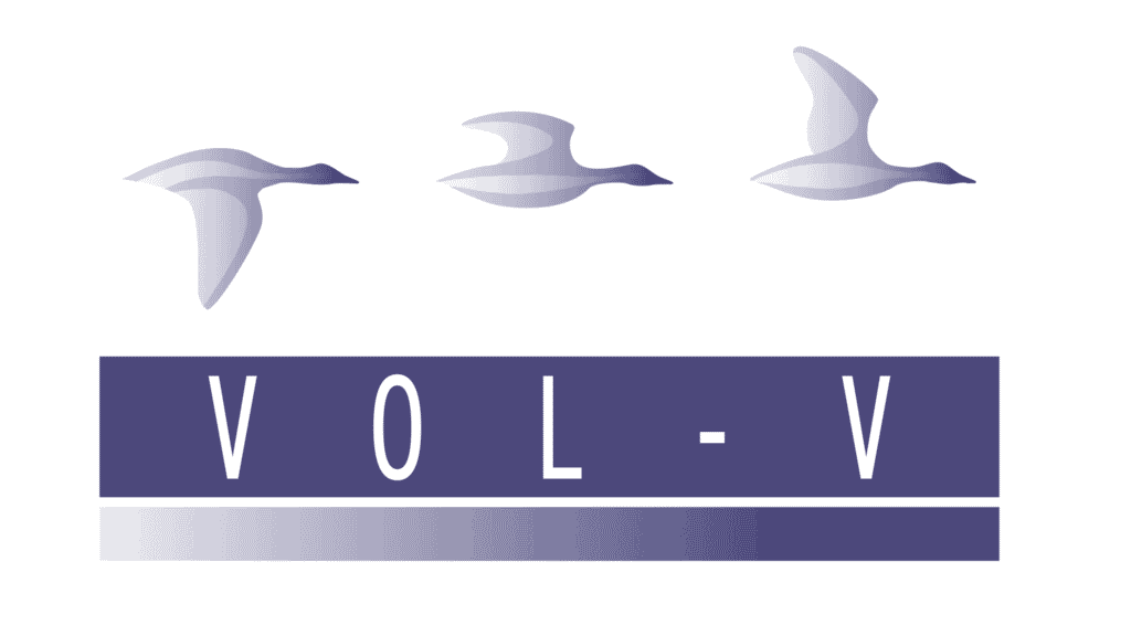 Vol-V_LOGO.png