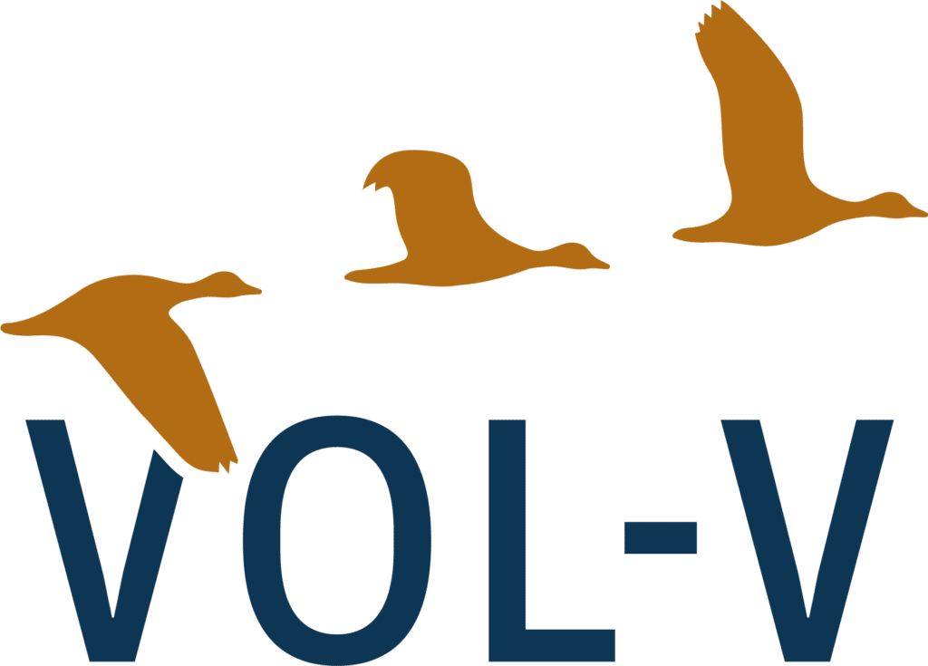 Vol-V_logotype